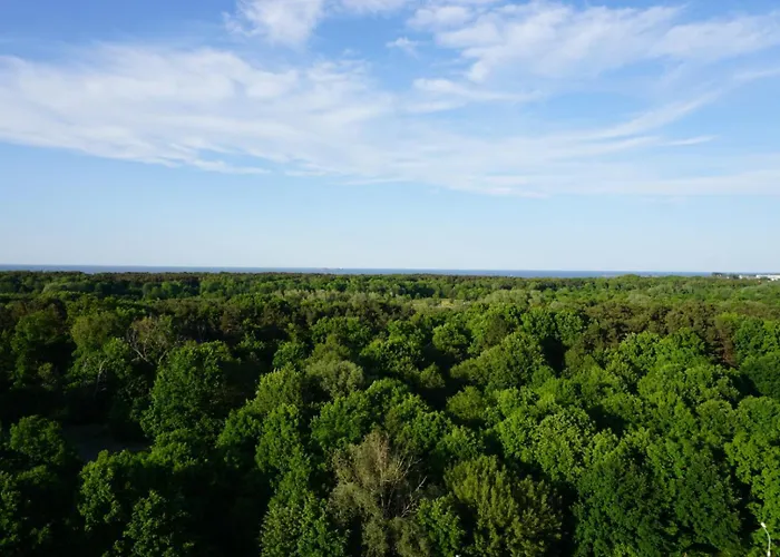Mieszkanie Z Widokiem Na Morze Trojmiasto - Plaza - Klima - Sauna I Silownia - Parking Apartment