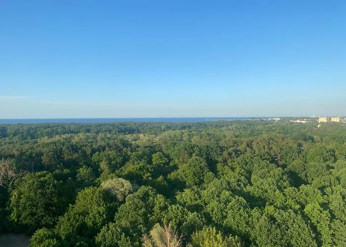 Mieszkanie Z Widokiem Na Morze Trojmiasto - Plaza - Klima - Sauna I Silownia - Parking Apartment